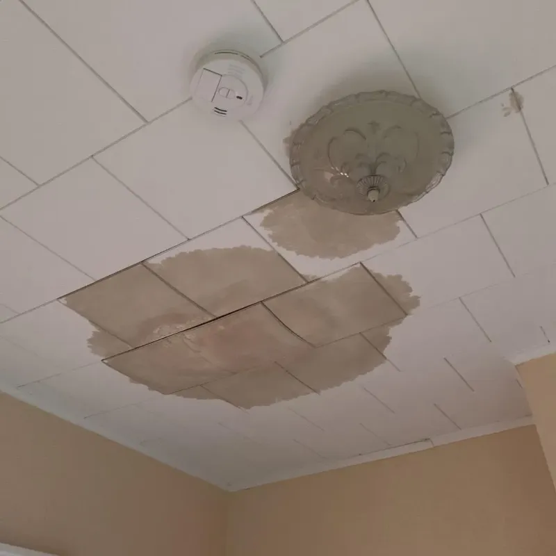 Ceiling Water Damage Repair in Pemberton Heights, NJ
